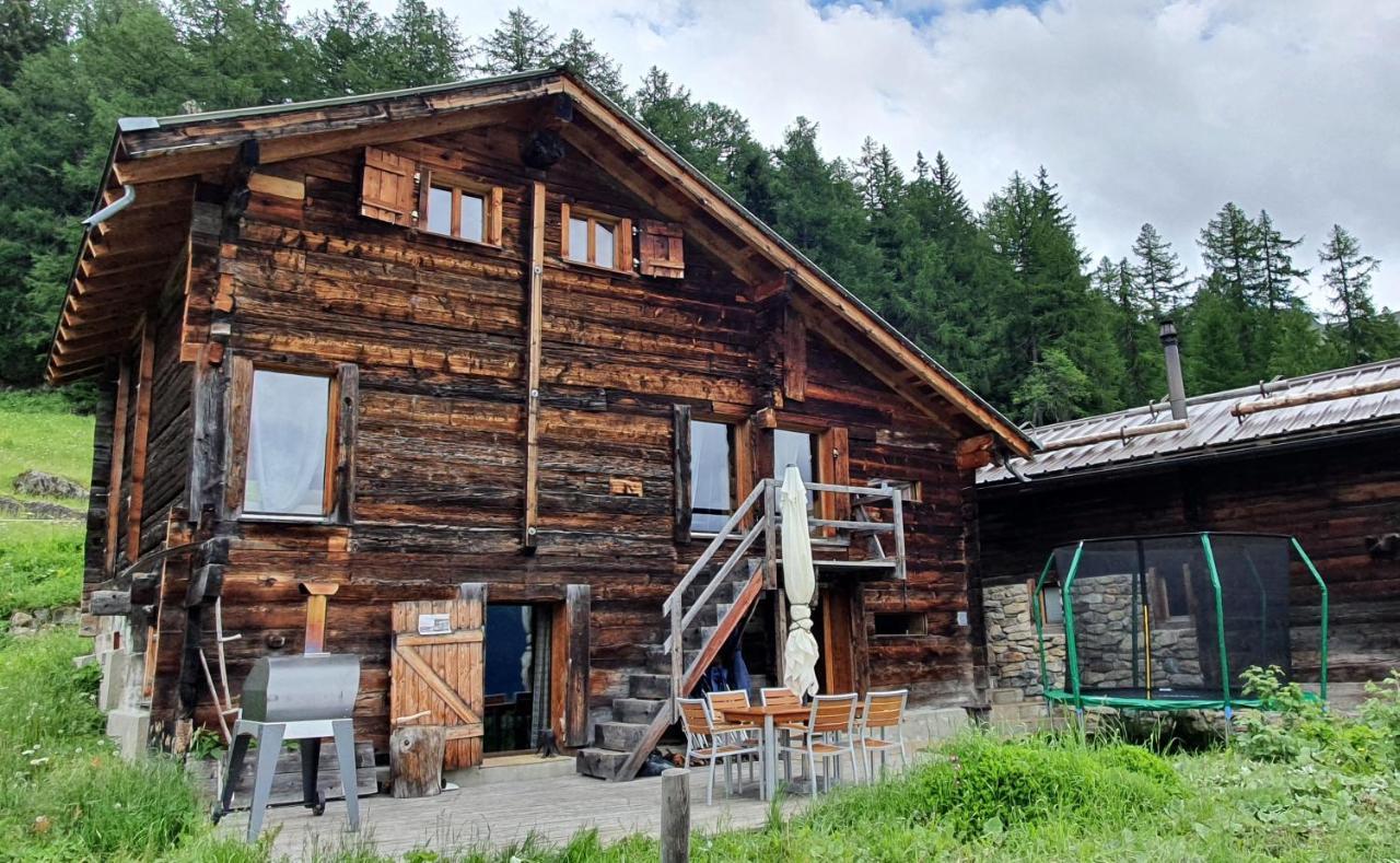 Chalet Biene - Swiss Alp Chalet With Sauna And Jacuzzi Ulrichen Exterior photo